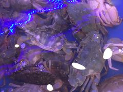 -澜悦港海鲜体验主题餐厅