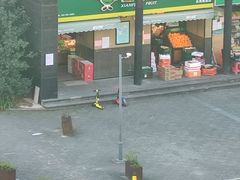 -鲜丰水果(海尚阑珊店)