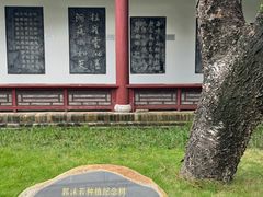 -柳侯公园