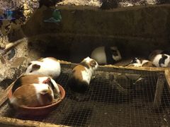 -洛阳龙门海洋馆