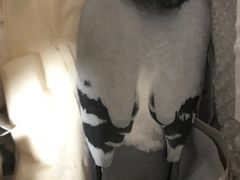 -雨林宠物医院 非犬猫异宠专科