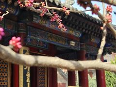 -西安市广仁寺