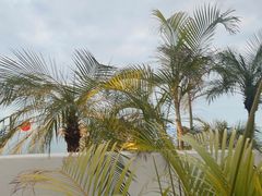 -蜜悦·波西塔诺悬崖海景餐厅