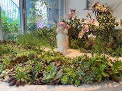 -春树下·树屋花房西餐厅(罍街AS1980店)