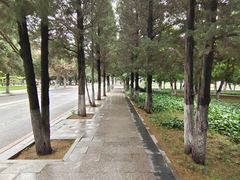 -东北大学(南湖校区)