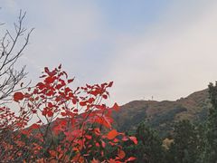 -香山公园