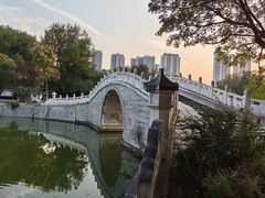 -月湖风景区