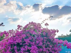 -文华公园(禅城区)