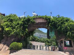 -石老人观光园