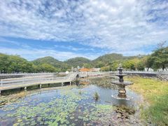 -红山村