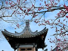 -广富林郊野公园