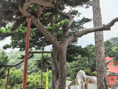 -妙峰山风景名胜区