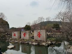 -香雪海