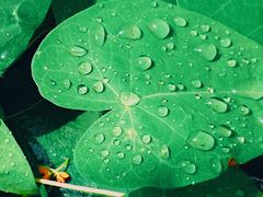 -天津东丽湖风景区