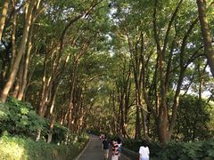 -上海市保健医疗中心(华东疗养院)