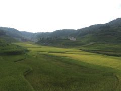 -紫鹊界梯田景区