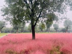 -汉长安城未央宫国家考古遗址公园
