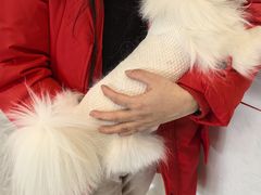 -贝康宠物医院·犬猫全科·小动物特色诊疗中心(东环路店)