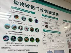 -首都医科大学附属北京潞河医院