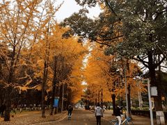 -四川大学(望江校区)