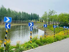 -东郊湿地公园