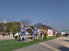 -荷兰花海