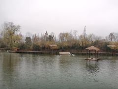 -溱湖国家湿地公园