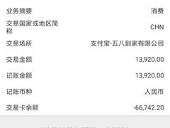 -天鹅到家·保姆月嫂育儿嫂(浦东店)