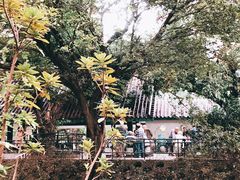 -九龙公园