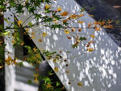 -中国湖笔博物馆(莲花庄路)