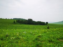 -乌兰布统草原