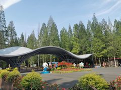 -东平国家森林公园