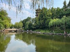 -红梅公园