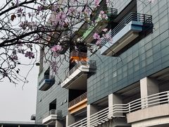 -广东工业大学(大学城校区)