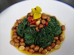 -六合居·邯郸菜·武安菜起源地