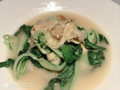 -桂满陇·海市蜃楼·黑金(国金店)