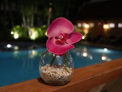 景观位-尚味泰餐厅