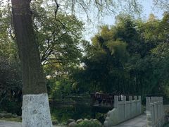 -八大山人梅湖景区