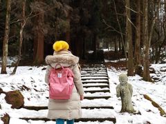 -武陵山森林公园