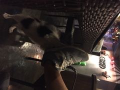 OMG剧情密室逃脱-恐怖游戏(湖滨店)