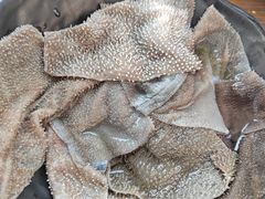 -铜元老码头鳝鱼火锅