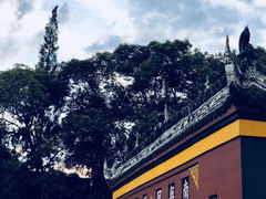 -宝光寺