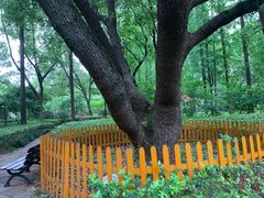 -徐家汇源景区-衡山公园