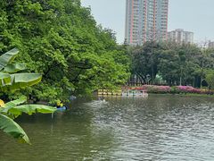 -晓港公园