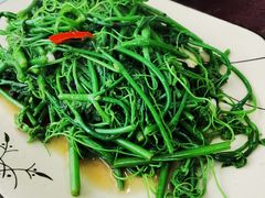 -鹅香阁私房菜(一鹅五味)