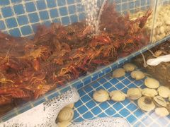 -港畔赶海蒸汽海鲜烧烤自助(仙螺岛店)