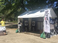 -名古屋城