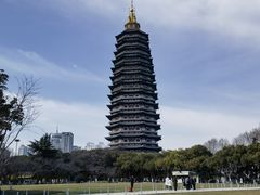 -红梅公园