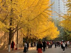 -辽宁大学(崇山校区)
