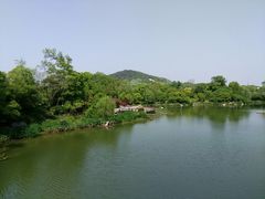 -桃花岛景观公园